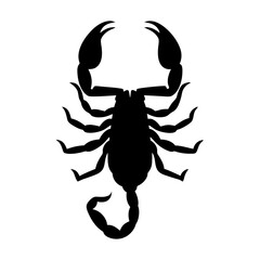 Scorpion silhouette with defined claws and segmented body on white background