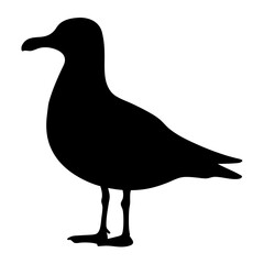 Black silhouette of a seagull standing, casting no shadow on white background
