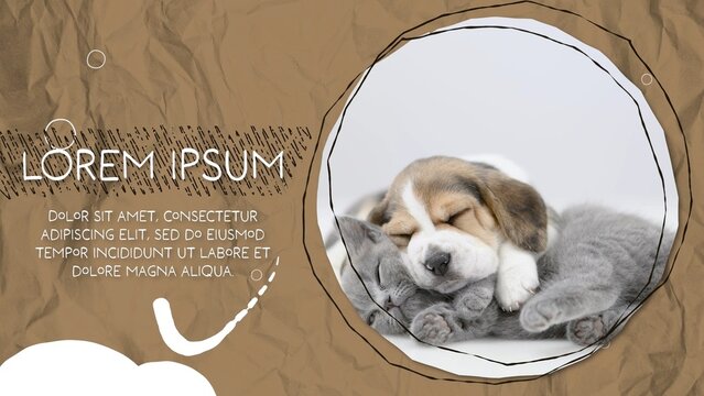 Creative Paper Background Slideshow with Description