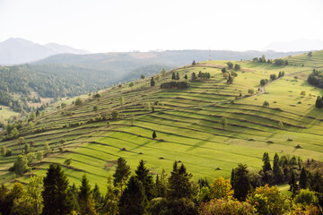 Inspiring landscape of green hills. Terraced fields stretch across the hills of lush greenery. Concept of nature, freedom and view.
