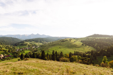 Obraz premium Inspiring landscape of green hills. Terraced fields stretch across the hills of lush greenery. Concept of nature, freedom and view.