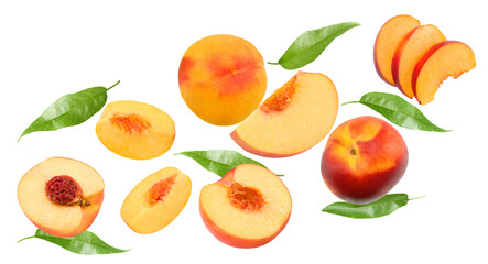 flying pieces of nectarine with leaves isolated on white background. clipping path