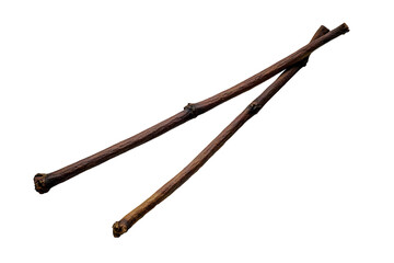 Two Dry Twigs Isolated On Transparent Background Illustration