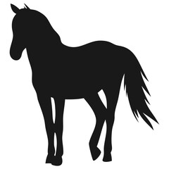 Obraz premium Horse Silhouette