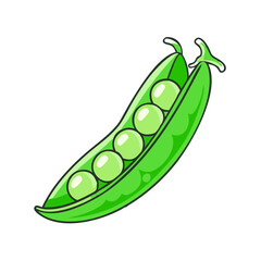 Illustration of fresh green peas in pod vegetable healthy food vegan diet nutrition ingredient raw garden