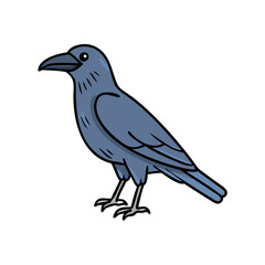 Illustration of a crow bird raven blackbird corvus birdwatching ornithology wildlife nature drawing