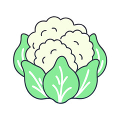 Illustration of fresh cauliflower vegetable healthy eating plant based diet vegan food nutrition 90