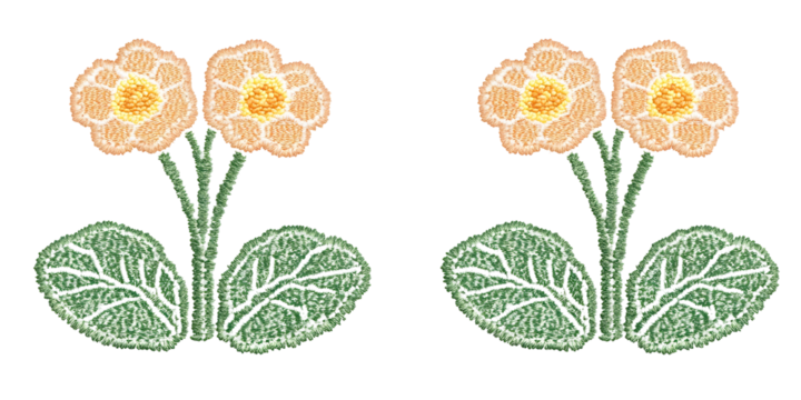 Two Primrose Flowers Illustration Isolated Background Design - Powered by Adobe