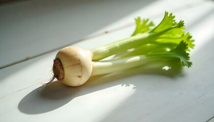 Celery root isolated on white background
