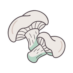 Illustration of edible mushrooms fungi mushroom fungus organic food forest foraging nature drawing