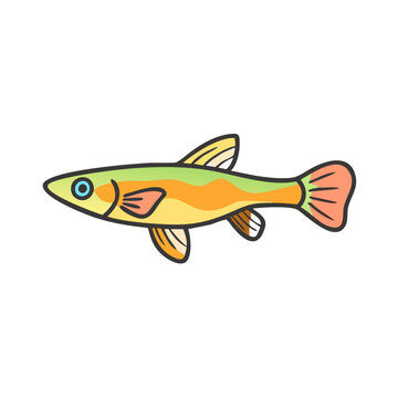Illustration of a colorful minnow fish swimming in water for children's book or educational use