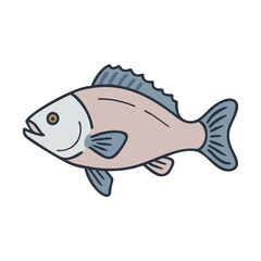 Illustration of a swimming fish, aquatic animal, sea creature, marine life, ocean fish drawing