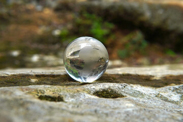 Glass globe placed on moss. Environmental concept. Concept of society and governance regarding a sustainable global environment.