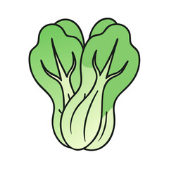 Illustration of bok choy bokchoi chinese cabbage vegetable healthy food ingredient fresh produce asian greens