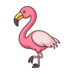 Pink flamingo illustration vector drawing flamingo bird tropical animal exotic wildlife nature design graphic art