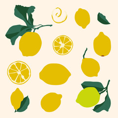 Hand drawn Lemon illustration collection. Vector illustration
