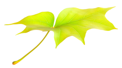 Vibrant Yellow-Green Maple Leaf Illustration Isolated Transparent Background