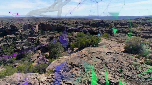 3D network overlaying rocky plateau with shrubs overlooking canyon, connecting purple green nodes