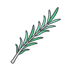 Rosemary herb plant green culinary aromatic ingredient spice flavoring cooking seasoning food branch