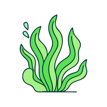 recommend clip art: Illustration of green seaweed kelp underwater ocean plant marine algae aquatic vegetation nature drawing, art