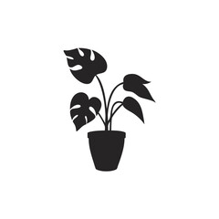 Silhouette of a potted monstera plant