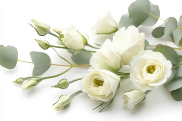 Obraz premium Modern Flowers. Beautiful Close-up Eustoma and Eucalyptus in Stylish Minimal Floral Arrangement on White Background