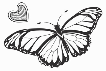 black butterfly,heart isolated on a white

