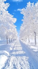 Snowy Trees Path in Winter Wonderland