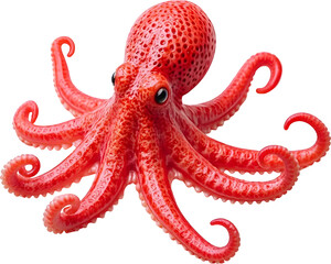 Red octopus toy with textured skin and curled tentacles