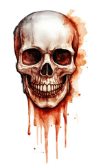 Watercolor Skull Illustration Transparent Background