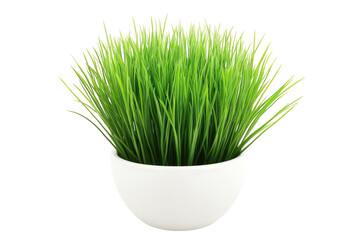 Green grass in a white bowl