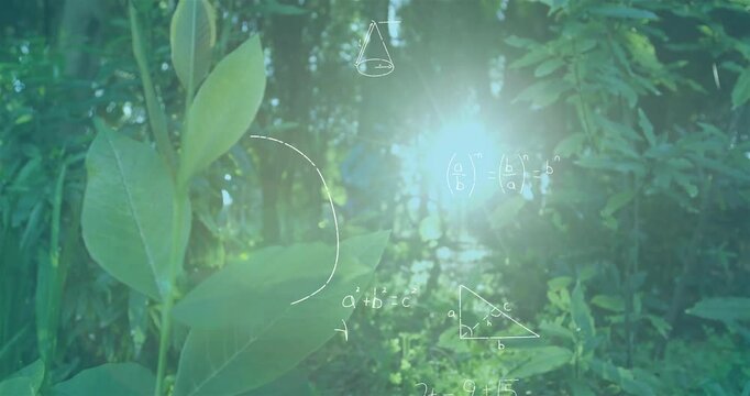 Animated illustration showing leaves swaying in sunlight while math formulas floating across forest