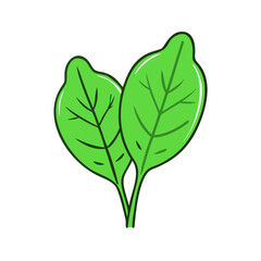 Fresh green spinach leaves vegetable healthy food nutrition diet vegetarian vegan salad ingredient plant
