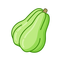 Illustration of chayote squash vegetable, green chayote, healthy squash, tropical chayote food art