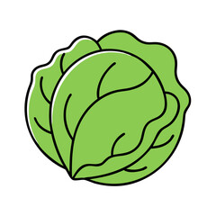 Illustration of fresh green lettuce head vegetable healthy food ingredient salad organic produce diet concept