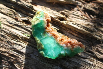 Wet untreated green chrysoprase illuminated by sun rays, deposit Kazakhstan