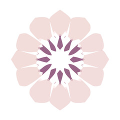 Floral design flower pattern graphic flower art pink purple abstract flower illustration and design 