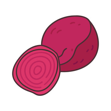 recommend clip art: Illustration of beet beetroot vegetable healthy food root crop garden organic fresh produce nutrition