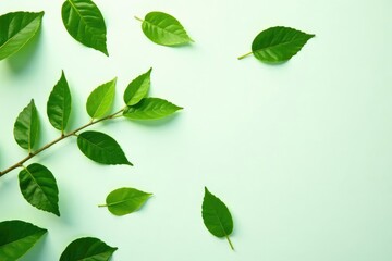 Fototapeta premium Leafy greens scattered on a pure white surface, with soft focus effects, white, simplicity, green