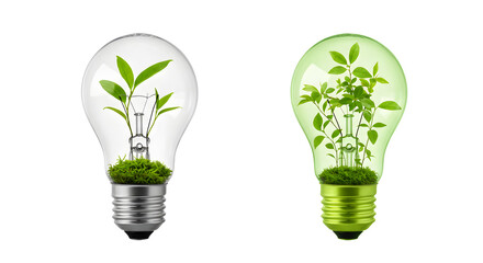 Two Light Bulbs Representing Green Energy with Leaves Inside on a White Background
