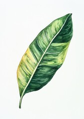 Watercolor illustration of a vibrant tropical leaf, displaying intricate patterns of yellow, lime green, and deep green hues. Veins are highlighted with a light cream color. 