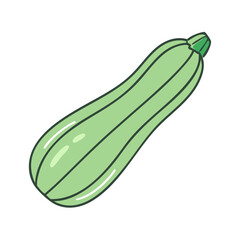 Illustration of green zucchini squash vegetable fresh food healthy eating plant based diet ingredient recipe