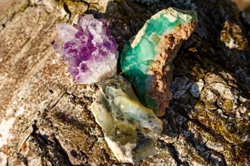 Amethyst druse, opal with dendrites and green chrysoprase lying on a tree in the sun, mineralogical...