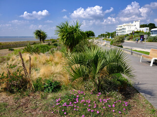 Floral arrangement on a path along the coast at Saint Brevin les Pins in Pays de la Loire region in western France