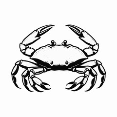 Detailed crab illustration, marine crustacean in black line art style