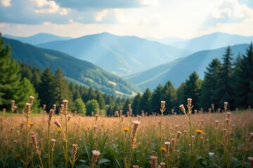Subtle gradient, soft focus, blurred landscape, nature, graphic, landscape