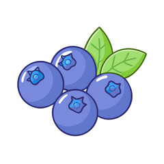 Illustration of fresh blueberries blueberry fruit antioxidant food healthy sweet dessert diet berry