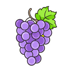 Illustration of fresh purple grapes with leaves healthy food fruit sweet dessert vineyard snack