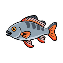 Illustration of a cute perch fish drawing for kids learning about aquatic animals and fish species