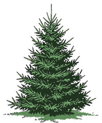 Majestic Pine Tree Artwork Reflecting Natural Beauty